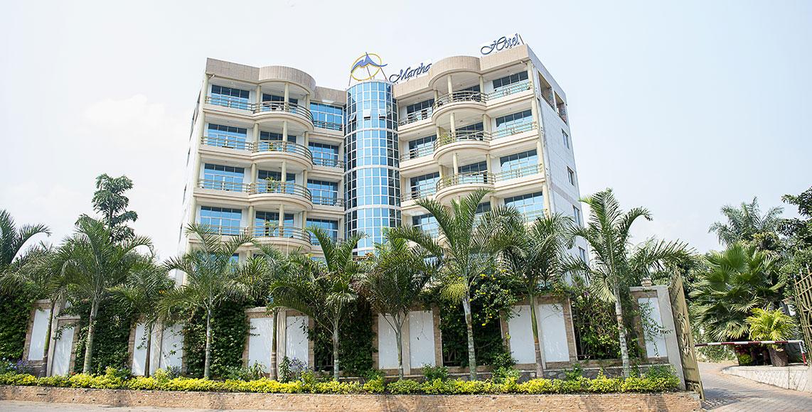 Jardin exterieur et verdure